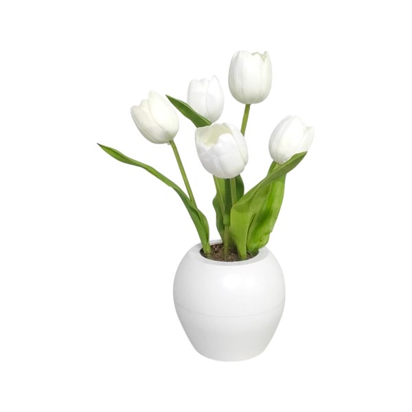 LED Tulip White 35cm (5L)