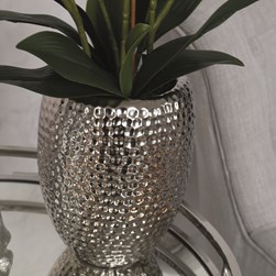 White Orchid in a Dimpled Silver Pot 72cm
