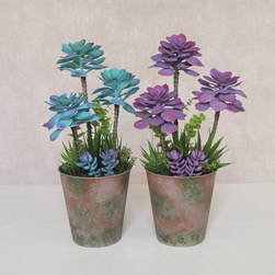 Succulent Purple and Blue 38cm 2 Assorted