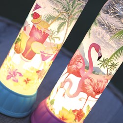 LED Tropical Bottle 36cm 2 Assorted