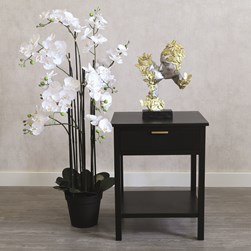 White Orchid in Black Pot 115cm