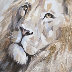 Canvas Oil Lion 80x80cm