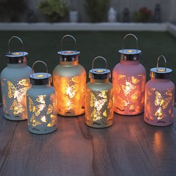 LED Butterfly Lantern 24cm 3 Assorted