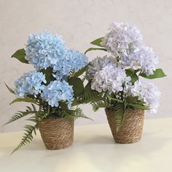 Blue Hydrangea Basket 50cm 2 Assorted