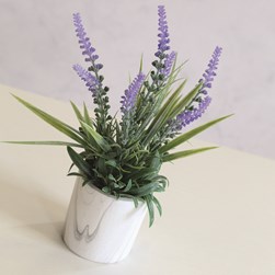 Lavender in Marble Pot 27cm