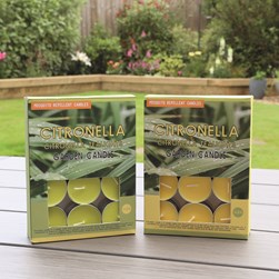 Citronella Tealights Pack of 24 Candles 2 Assorted