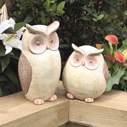 Brown Owl 22cm