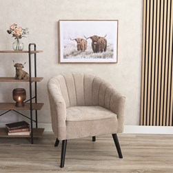 Chenille Chair Champagne 70x80cm Chenille Chair Champagne 70x80cm