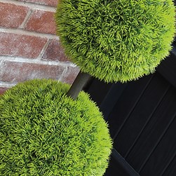 Potted Topiary Ball Tree 100cm Potted Topiary Ball Tree 100cm