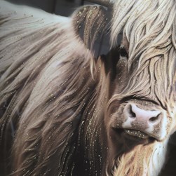 Highland Crystal Print 60x90cm Highland Crystal Print 60x90cm