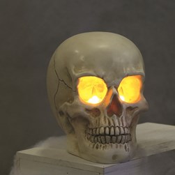 LED Skull 25cm LED Skull 25cm