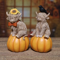 Highland Cow on Pumpkin 12cm 2 Assorted