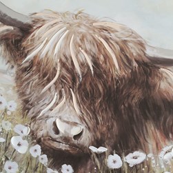 Highland Cow Field Canvas 61x91cm