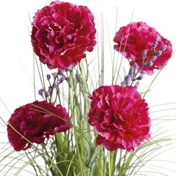 Purple Carnation Grass Floral Bundle 45cm Purple Carnation Grass Floral Bundle 45cm