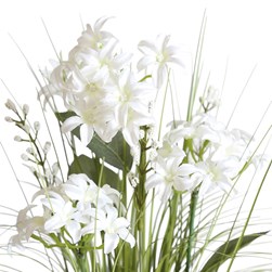 White Hyacinth Grass Floral Bundle 45cm White Hyacinth Grass Floral Bundle 45cm