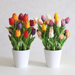 Tulip In Pot 28x38cm 2 Assorted