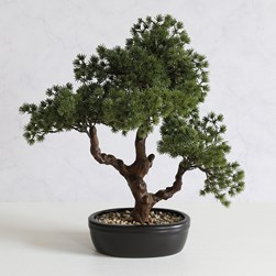 Potted Bonsai 43cm Potted Bonsai 43cm