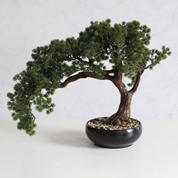 Potted Bonsai 42cm Potted Bonsai 42cm