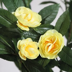 Yellow Camelia 69cm