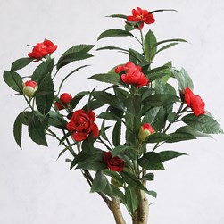 Red Camellia 56cm