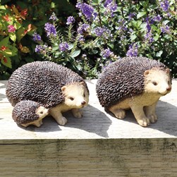 Garden Hedgehog Family 16x8cm