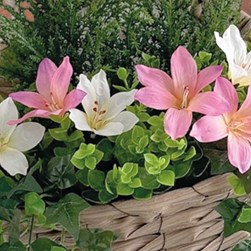 Wall Basket Pink 33cm