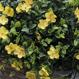 Yellow Hanging Basket 46cm
