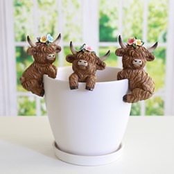 Highland Cow Pot Hangers 3Asst