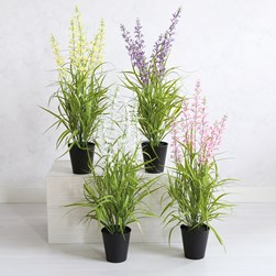 Floral Display 83cm 4 Asst