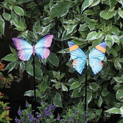 B/Fly Garden Stake 75cm 2 Asst