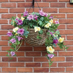 Petunia Hg Basket Pk/Yel 85cm