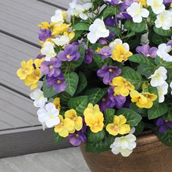 Pansy Pot 42cm Pansy Pot 42cm