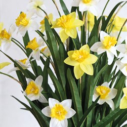 Daffodil Natural Basket 81cm