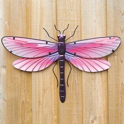 Dragonfly Wall Decor 46x31cm
