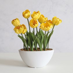 Yellow Tulip Pot 33cm