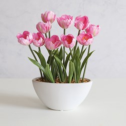 Pink Tulip Pot 33cm