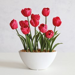 Red Tulip Pot 33cm