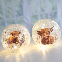 LED Ball Highland 15cm 2 Assorted