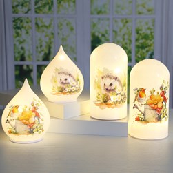 LED Robin Hedgehog Dome 20cm 2 Assorted LED Robin Hedgehog Dome 20cm 2 Assorted