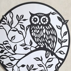 Owl Mirror Black 60cm