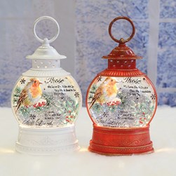 Robin Spinner 23cm 2 Assorted