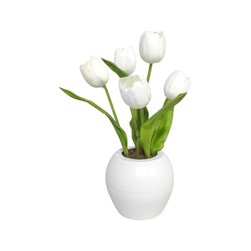 LED Tulip White 35cm (5L)