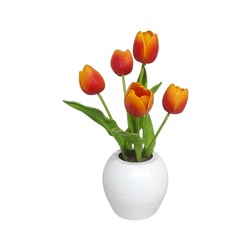 LED Tulip Orange 35cm (5L)