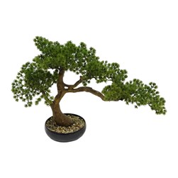 Potted Bonsai 42cm