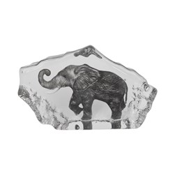 Elephant Paperweight 20x12cm