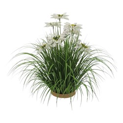 White Poinsettia & Grass 40cm White Poinsettia & Grass 40cm