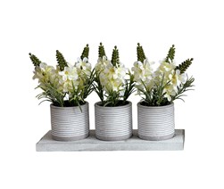 Trio Lavender Pots 22cm White Trio Lavender Pots 22cm White