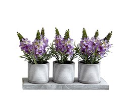 Trio Lavender Pots 22cm Trio Lavender Pots 22cm