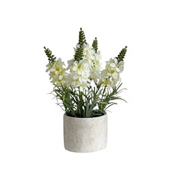White Lavender Pot 28cm White Lavender Pot 28cm