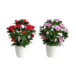 Azalea Ribbed Pot 29cm 2 Assorted Azalea Ribbed Pot 29cm 2 Assorted